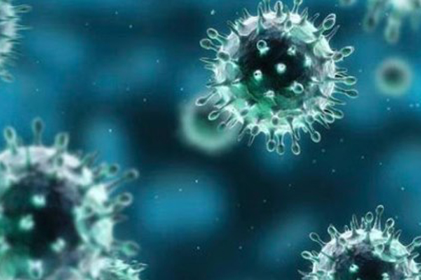 Nhật Bản phân tách thành công virus corona (nCoV)