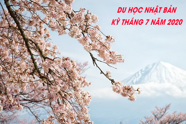 Trường Nhật ngữ AN LANGUAGE NARIMASU