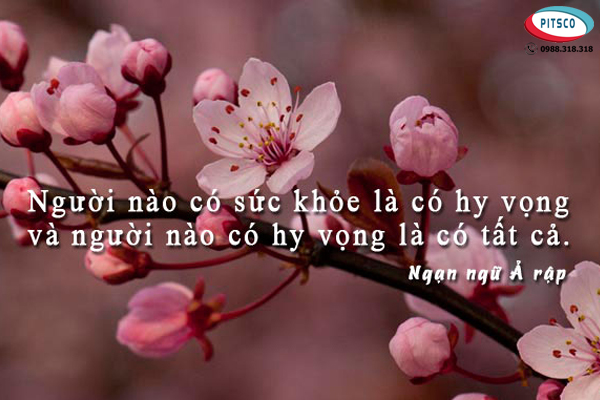 0988318318-nguyen-anh-ngoc-xuat-khau-lao-dong-nhat-ban-xkld-du-hoc-pitsco-hai-phong-danh-ngon-ve-cach-dung-nguoi-09