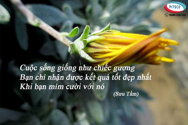 0988318318-nguyen-anh-ngoc-xuat-khau-lao-dong-nhat-ban-xkld-du-hoc-pitsco-hai-phong-danh-ngon-ve-cach-dung-nguoi-10