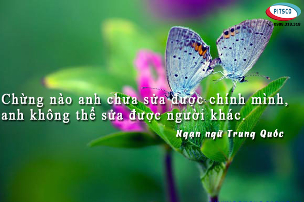 0988318318-nguyen-anh-ngoc-xuat-khau-lao-dong-nhat-ban-xkld-du-hoc-pitsco-hai-phong-danh-ngon-ve-cach-quan-he-giao-tiep-08