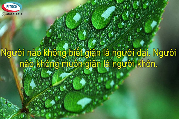 0988318318-nguyen-anh-ngoc-xuat-khau-lao-dong-nhat-ban-xkld-du-hoc-pitsco-hai-phong-danh-ngon-ve-cach-quan-he-giao-tiep-09