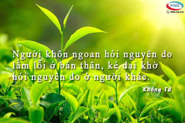 0988318318-nguyen-anh-ngoc-xuat-khau-lao-dong-pitsco-hai-phong-xkld-tts-ky-su-nhat-ban-56-cau-danh-ngon-ve-doi-nhan-xu-the-0.jpg