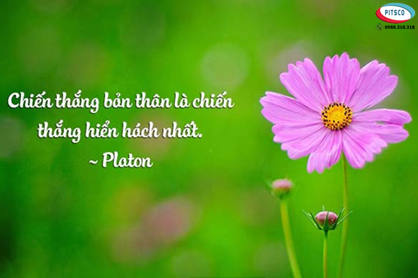 0988318318-nguyen-anh-ngoc-xuat-khau-lao-dong-pitsco-hai-phong-xkld-tts-ky-su-nhat-ban-56-cau-danh-ngon-ve-doi-nhan-xu-the-04.jpg