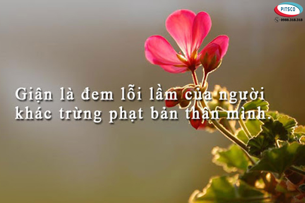 0988318318-nguyen-anh-ngoc-xuat-khau-lao-dong-pitsco-hai-phong-xkld-tts-ky-su-nhat-ban-56-cau-danh-ngon-ve-doi-nhan-xu-the-08.jpg