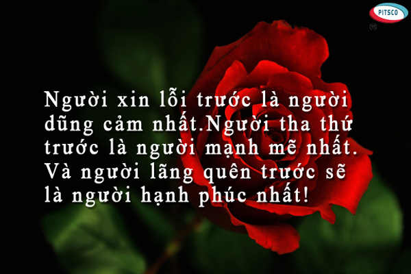 0988318318-nguyen-anh-ngoc-xuat-khau-lao-dong-pitsco-hai-phong-xkld-tts-ky-su-nhat-ban-56-cau-danh-ngon-ve-doi-nhan-xu-the-10.jpg
