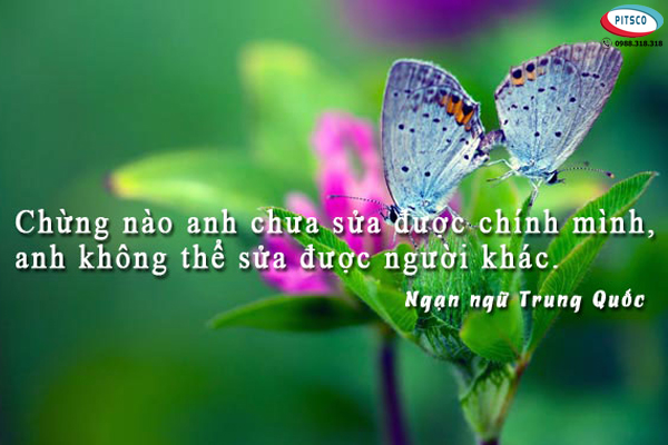 0988318318-nguyen-anh-ngoc-xuat-khau-lao-dong-pitsco-hai-phong-xkld-tts-ky-su-nhat-ban-56-cau-danh-ngon-ve-doi-nhan-xu-the-11.jpg