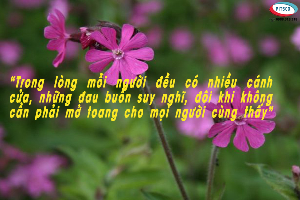 0988318318-nguyen-anh-ngoc-xuat-khau-lao-dong-pitsco-hai-phong-xkld-tts-ky-su-nhat-ban-56-cau-danh-ngon-ve-doi-nhan-xu-the-16.jpg