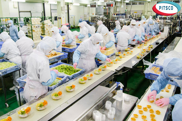 (Hình 5: Công việc chế biến món ăn ở Nhật Bản)