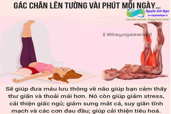 Yoga-cac-tu-the-khoe-dep-0988318318-nguyen-anh-ngoc-xuat-khau-lao-dong-pitsco-hai-phong-trung-tam-tokyo-xkld-tts-ky-su-nhat-ban-01.jpg
