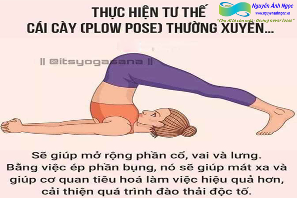 Yoga-cac-tu-the-khoe-dep-0988318318-nguyen-anh-ngoc-xuat-khau-lao-dong-pitsco-hai-phong-trung-tam-tokyo-xkld-tts-ky-su-nhat-ban-02.jpg