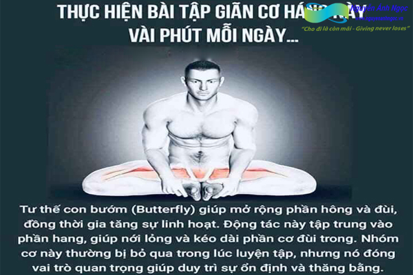 Yoga-cac-tu-the-khoe-dep-0988318318-nguyen-anh-ngoc-xuat-khau-lao-dong-pitsco-hai-phong-trung-tam-tokyo-xkld-tts-ky-su-nhat-ban-04.jpg