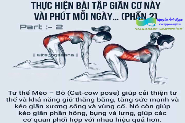Yoga-cac-tu-the-khoe-dep-0988318318-nguyen-anh-ngoc-xuat-khau-lao-dong-pitsco-hai-phong-trung-tam-tokyo-xkld-tts-ky-su-nhat-ban-05.jpg