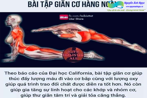 Yoga-cac-tu-the-khoe-dep-0988318318-nguyen-anh-ngoc-xuat-khau-lao-dong-pitsco-hai-phong-trung-tam-tokyo-xkld-tts-ky-su-nhat-ban-08.jpg