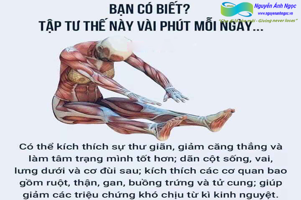 Yoga-cac-tu-the-khoe-dep-0988318318-nguyen-anh-ngoc-xuat-khau-lao-dong-pitsco-hai-phong-trung-tam-tokyo-xkld-tts-ky-su-nhat-ban-09.jpg