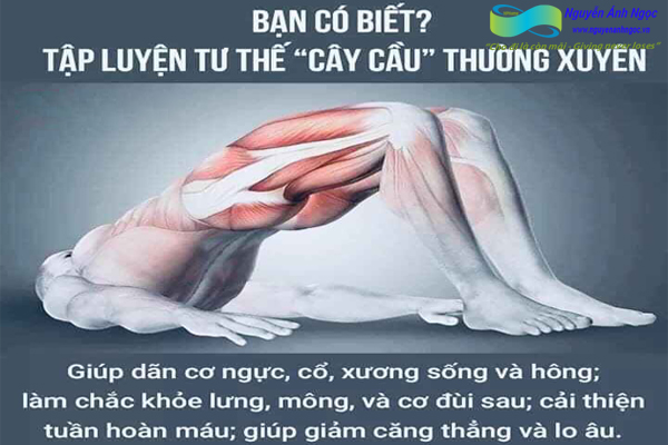 Yoga-cac-tu-the-khoe-dep-0988318318-nguyen-anh-ngoc-xuat-khau-lao-dong-pitsco-hai-phong-trung-tam-tokyo-xkld-tts-ky-su-nhat-ban-10.jpg