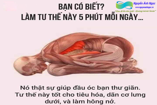 Yoga-cac-tu-the-khoe-dep-0988318318-nguyen-anh-ngoc-xuat-khau-lao-dong-pitsco-hai-phong-trung-tam-tokyo-xkld-tts-ky-su-nhat-ban-13.jpg