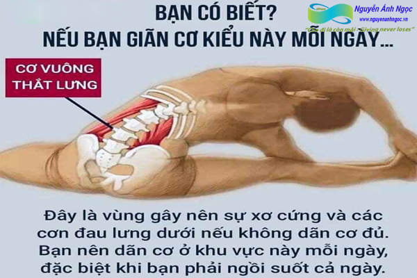 Yoga-cac-tu-the-khoe-dep-0988318318-nguyen-anh-ngoc-xuat-khau-lao-dong-pitsco-hai-phong-trung-tam-tokyo-xkld-tts-ky-su-nhat-ban-14.jpg