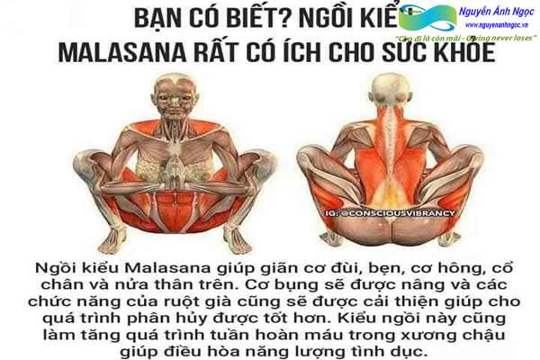 Yoga-cac-tu-the-khoe-dep-0988318318-nguyen-anh-ngoc-xuat-khau-lao-dong-pitsco-hai-phong-trung-tam-tokyo-xkld-tts-ky-su-nhat-ban-15.jpg