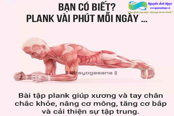 Yoga-cac-tu-the-khoe-dep-0988318318-nguyen-anh-ngoc-xuat-khau-lao-dong-pitsco-hai-phong-trung-tam-tokyo-xkld-tts-ky-su-nhat-ban-16.jpg